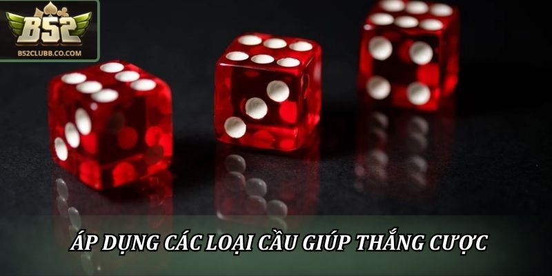 Áp dụng các loại cầu giúp thắng cược